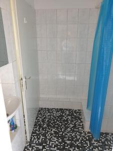 a bathroom with a shower with a tiled floor at Appartement Hotel Marien-Hof in Vienna