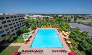 Вид на бассейн в NCED Conference Center & Hotel или окрестностях