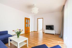 Televízia a/alebo spoločenská miestnosť v ubytovaní Apartament Pod Winogronami