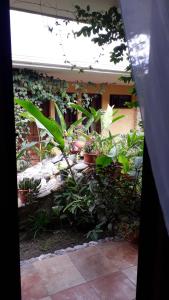 Vrt ispred objekta Posada Gema de Copan