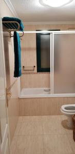 Łazienka w obiekcie Apartment Campoamor Descansa