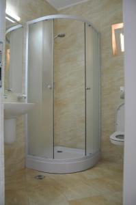 a shower with a glass door in a bathroom at Vila Ozon in Ranca