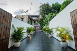 Zahrada ubytování Villa Upper Dickson