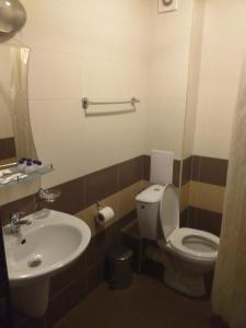 La salle de bains est pourvue de toilettes et d'un lavabo. dans l'établissement Maria-Antoaneta Residence, à Bansko