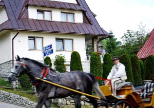 Goście zatrzymujący się w obiekcie Olczański Dom