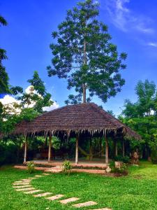 een hut met een rieten dak en een boom bij Chiang Dao Hostel in Chiang Dao