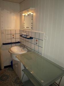 坦恩的住宿－萊斯弗魯斯蒂坦恩公寓，一间带水槽和镜子的浴室