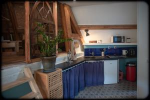 a kitchen with a potted plant on top of a counter at Grand studio duplex proche de la mer in Fécamp