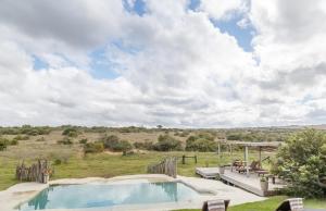 Bazén v ubytování Hlosi Game Lodge - Amakhala Game Reserve nebo v jeho okolí