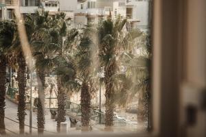 a view through a window of a city with palm trees at C'est La Vie Guesthouse in Marsaskala