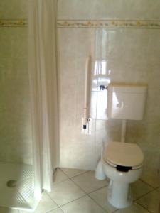 a bathroom with a toilet and a shower at Villa Benice in Morino +38 photos