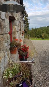 a building with a bunch of plants and a light at Turrock Cottage in Shillelagh