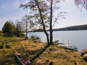 a tree and a boat on the shore of a lake at Nad Sunowem Lake House in Chrzanowo