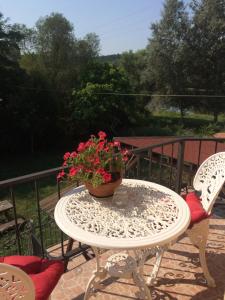 a table with a pot of flowers on a balcony at Cosy rooms on the lake near Budapest and the Airport in Isaszeg