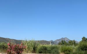 Casa Playa Gandia Centro I في غانديا: ميدان نباتات بجبال في الخلف