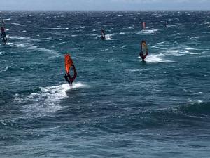 Hacer windsurf en el apartamento o alrededores