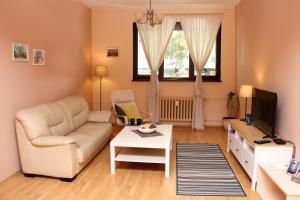 Zona d'estar a Cozy Spacious Apt with Garden near Parking Fast Wifi - A HOME Away from Home