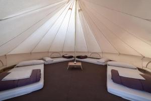 Photo de la galerie de l'établissement Acampada el Tunel, à Alcañiz