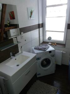 een badkamer met een wasmachine en een wastafel bij Ferienwohnung "Eisenach Stadtmitte" in Eisenach