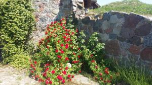 Gallery image of Mazurska Knieja in Miłakowo +40 photos