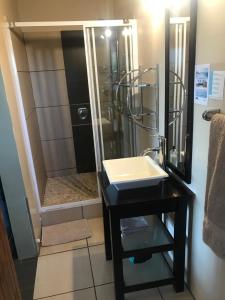 ボーフォート・ウェストにあるHaus Holzapfelの洗面台とシャワー付きのバスルーム +56枚の写真