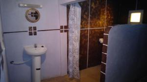 Vannituba majutusasutuses Auberge Aain Nakhla