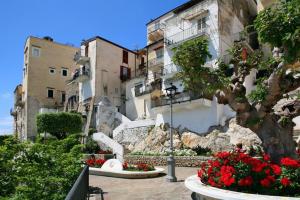 A garden outside Casa Susy Bouganville 400 mt dal mare