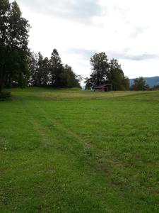 Afbeelding uit fotogalerij van Apartma Eržen in Zgornje Gorje