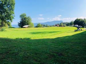 Afbeelding uit fotogalerij van Apartma Eržen in Zgornje Gorje