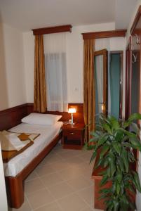 a bedroom with a bed and a potted plant at Apartments Krapina in Budva