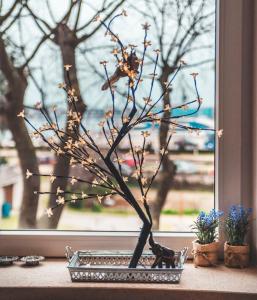 eine Vase mit einem Baum vor dem Fenster in der Unterkunft Luxury with sea view in Pula