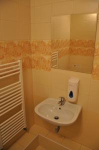 Hotel Děčín的一间浴室