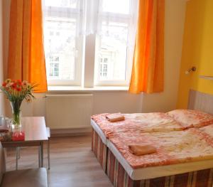 Hotel Děčín客房内的一张或多张床位