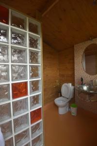 チクラナ・デ・ラ・フロンテーラにあるXanadu Ruralのバスルーム(トイレ、洗面台、鏡付)