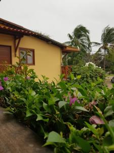 una casa con un montón de plantas delante de ella en Paranambuca Pousada en Porto De Galinhas