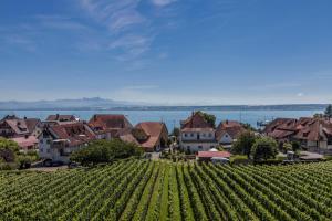 uitzicht op een wijngaard en huizen in een dorp bij Hotel Restaurant Hansjakob in Hagnau