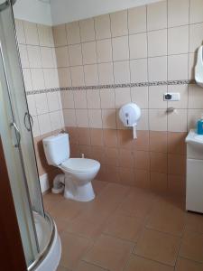 a bathroom with a toilet and a sink at Dom Pielgrzyma in Kalwaria Zebrzydowska