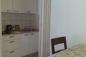 Kuchyň nebo kuchyňský kout v ubytování Guesthouse Sobe Silva