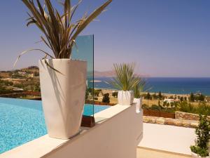 a large white vase sitting on a wall next to a pool at Luxury Villa Eos in vlicha