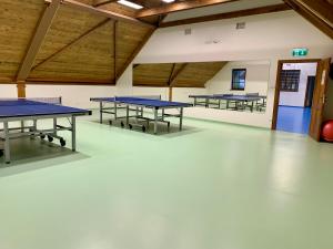 Stolní tenis v ubytování Wellness Hotel Holzberg nebo okolí