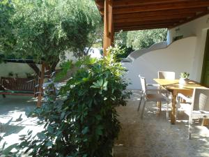 A garden outside Leros Eleonas Apartments