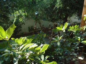 a garden with green plants and a swing at Leros Eleonas Apartments in Alinda