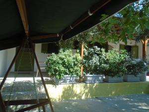 A garden outside Leros Eleonas Apartments