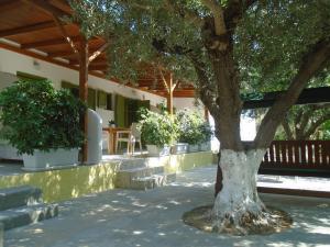 A garden outside Leros Eleonas Apartments