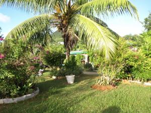 a palm tree in a yard with flowers and plants at Castaway Lodge in Pointe Au Sel 