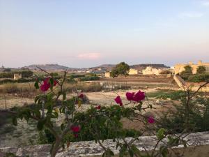 Afbeelding uit fotogalerij van Village Apartments in Kerċem