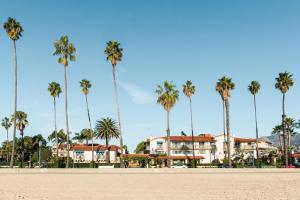 a row of palm trees on a beach with houses at Harbor View Inn in Santa Barbara