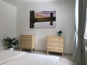 Posteľ alebo postele v izbe v ubytovaní Apartmán Hodruša-Hámre