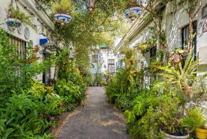 Une ruelle dans un vieux bâtiment rempli de plantes dans l'établissement Misterhost Triana Patio de las Flores, à Séville