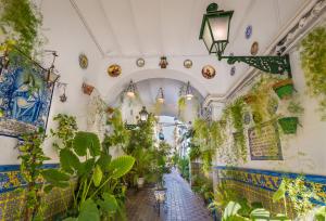 Zahrada ubytování Misterhost Triana Patio de las Flores